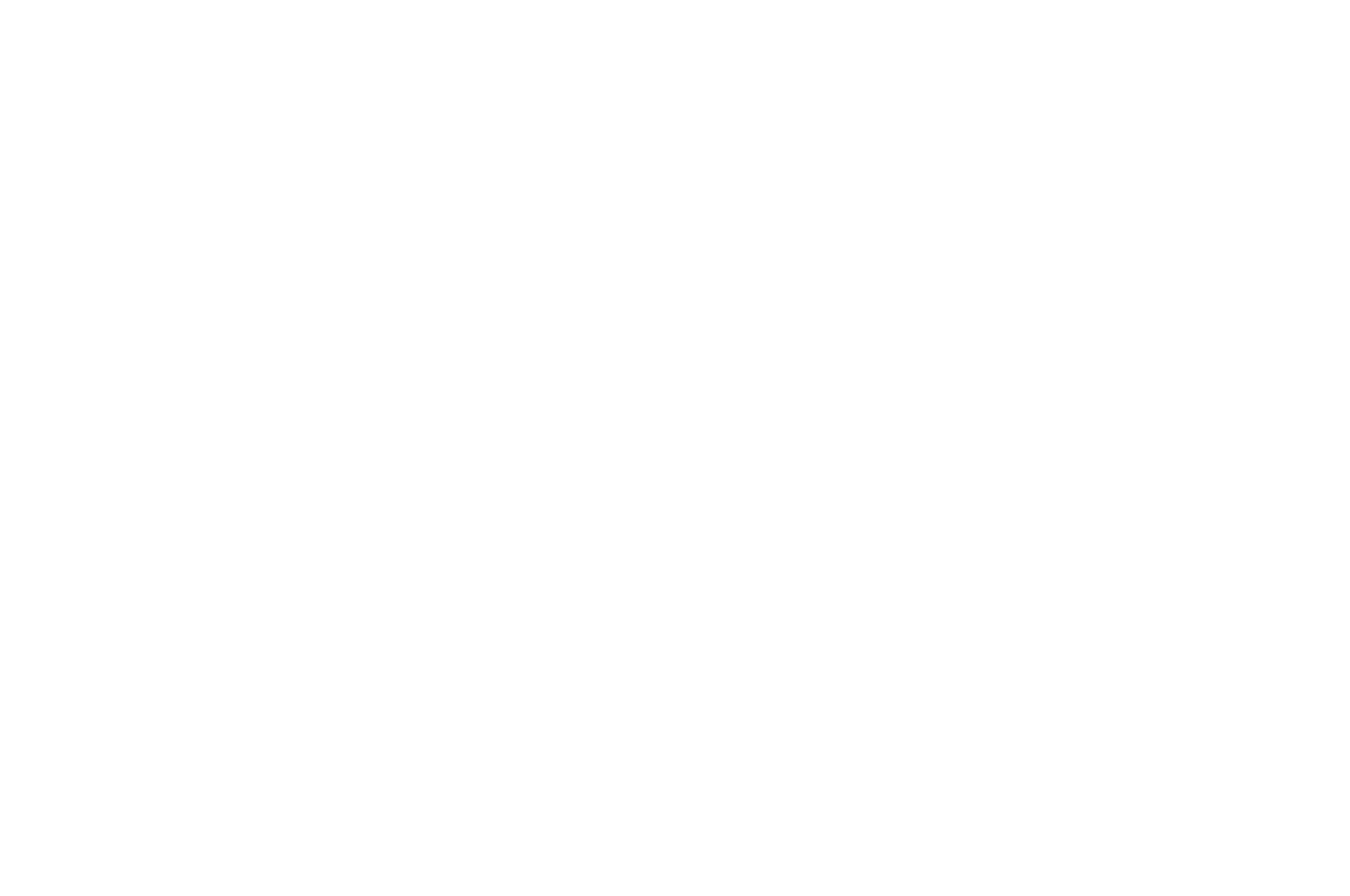 Best Directorial Debut winner - Detroit Black Film Festival 2026