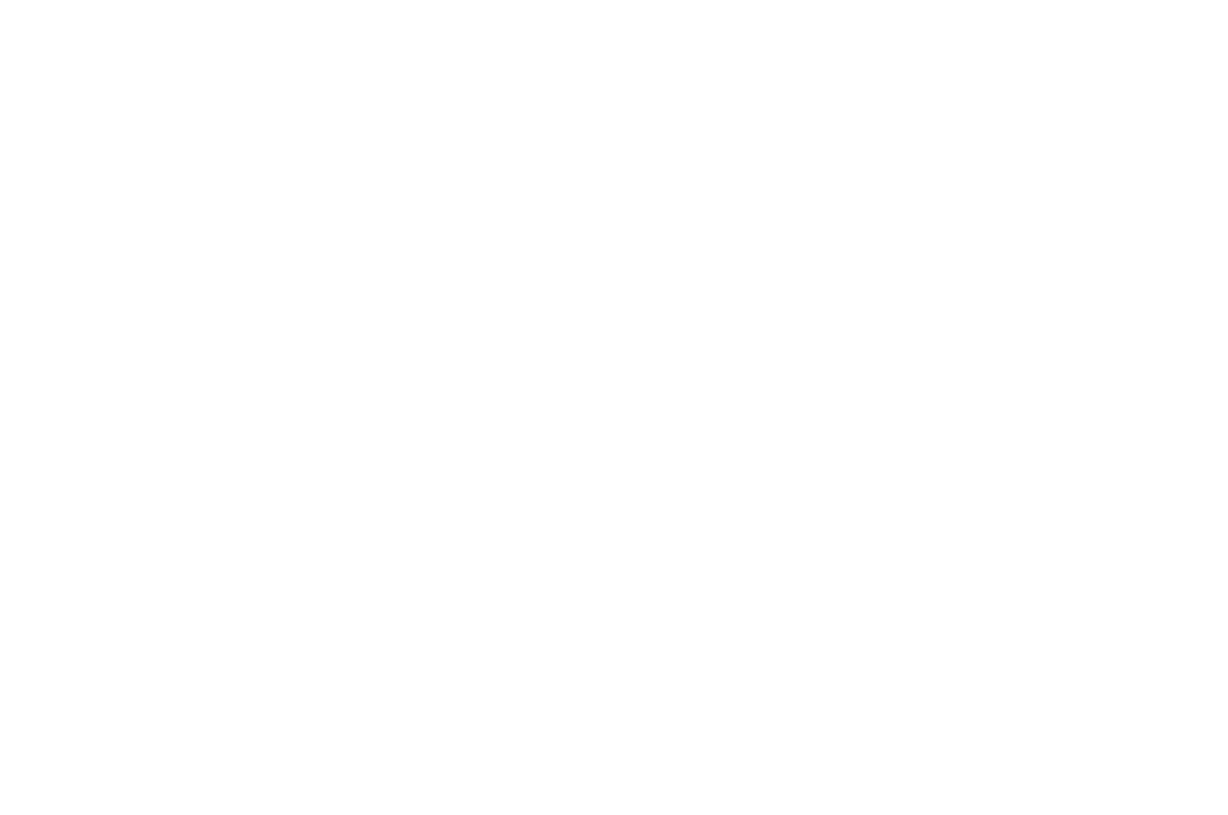 Official Selection - World London Film Festival