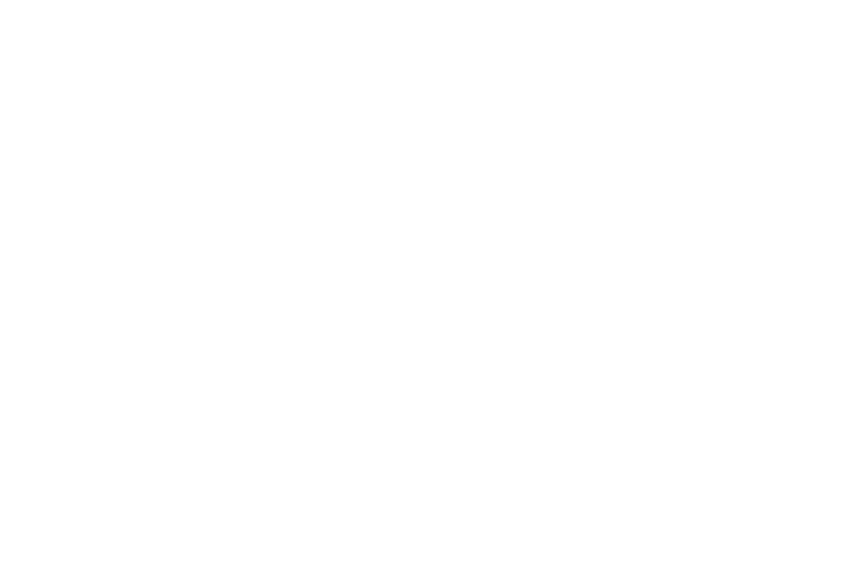 Winner - South Film and Arts Academy Festival 2026
